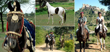 India-Rajasthan-Pushkar Fair Riding Safari in Rajasthan